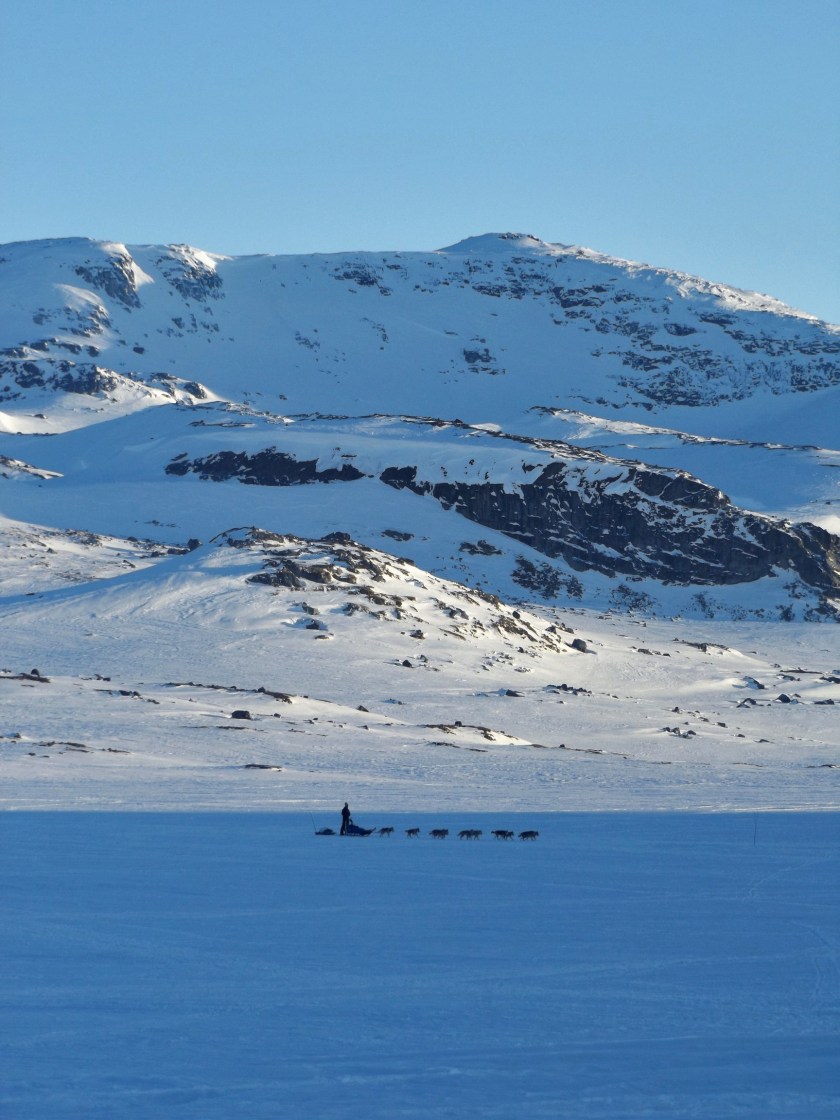 Bukkeskinnshjellane, najwyższa z okolicznych gór
