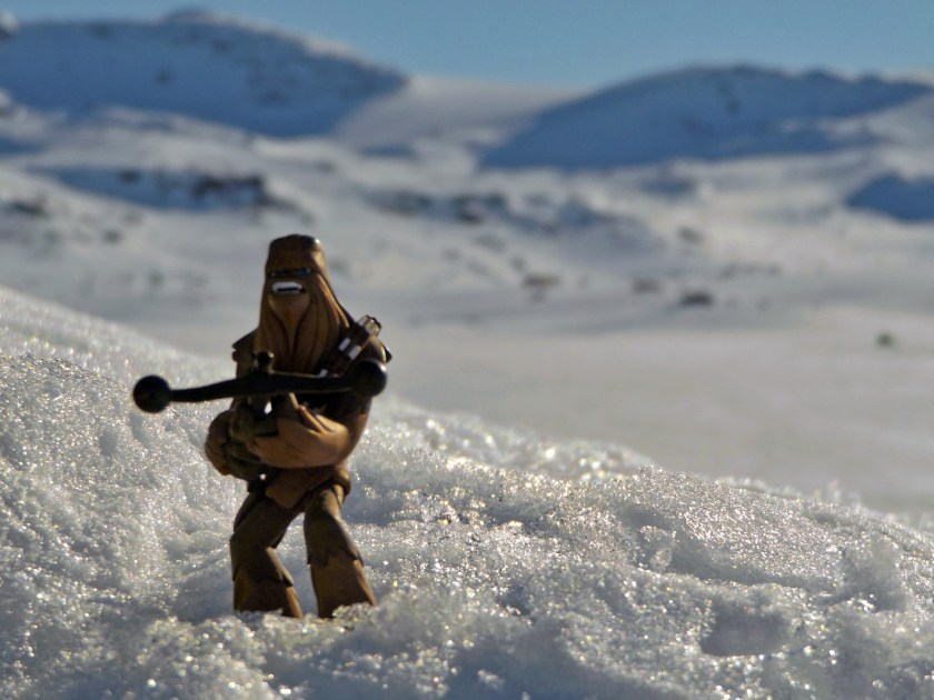 Chewbacca przyjechał ze mną na celebrację dnia Star Wars.jpg