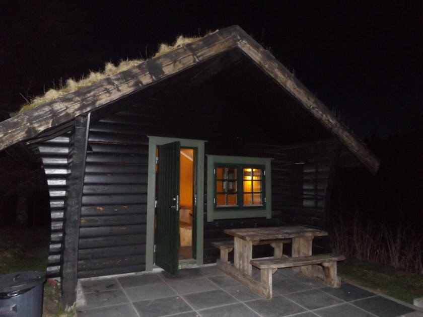 DSCF8573 (Kopiowanie)