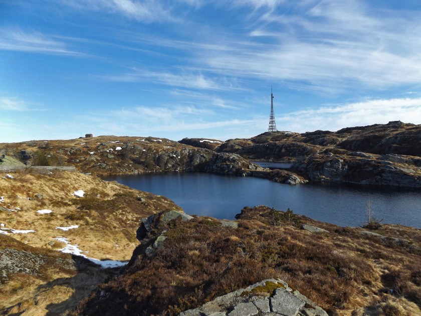 DSCF8661 (Kopiowanie).jpg