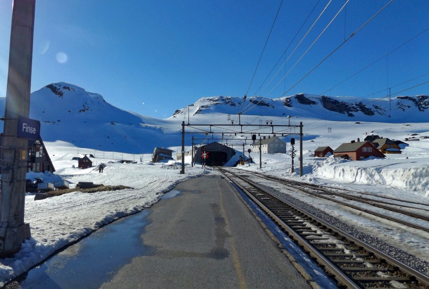 DSCF8762 (Kopiowanie)