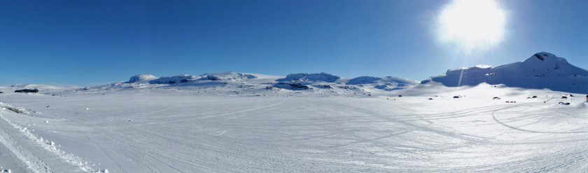 DSCF8768 (Kopiowanie)