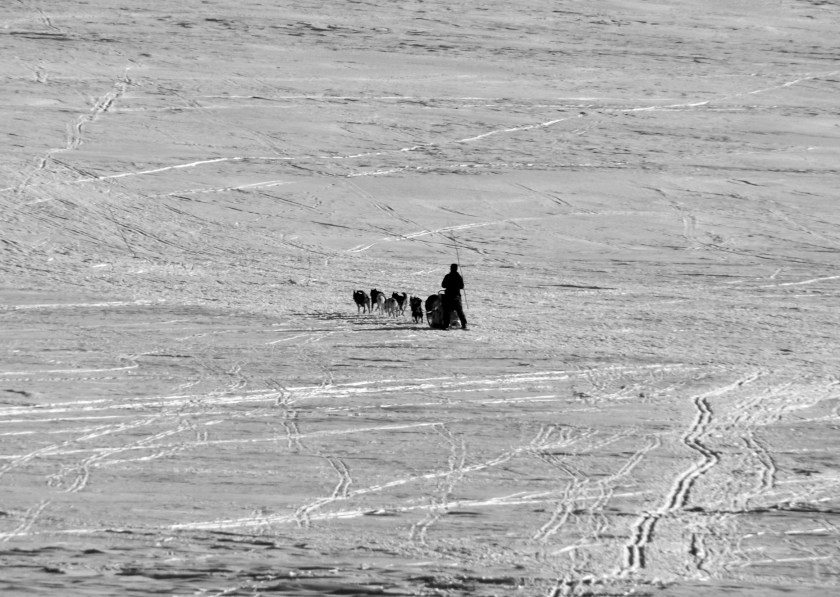 DSCF8777 (Kopiowanie)