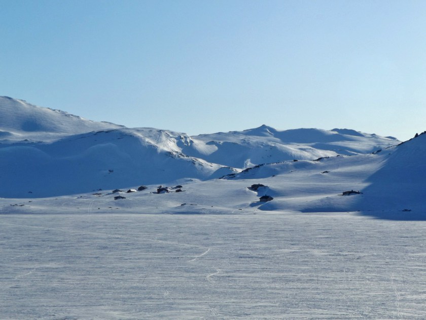 DSCF8781 (Kopiowanie)