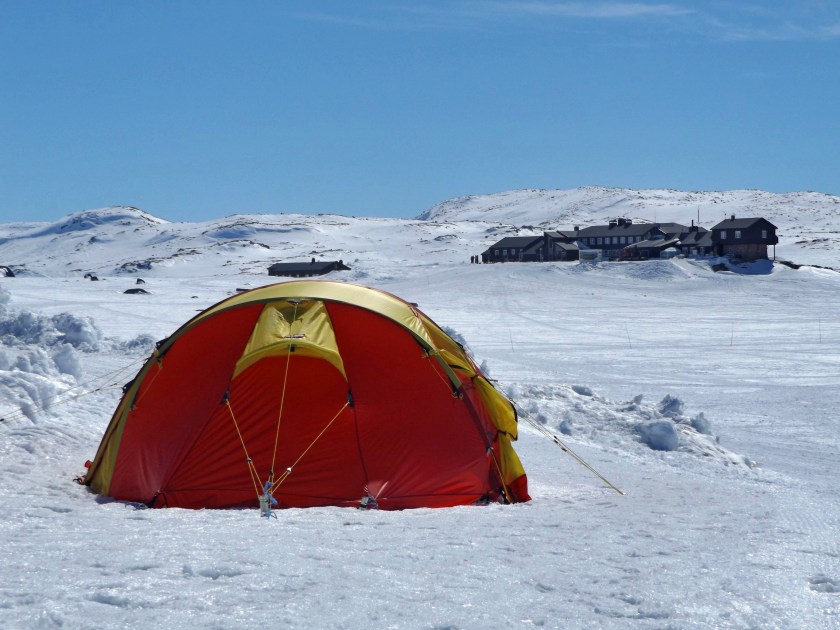 DSCF8902 (Kopiowanie)