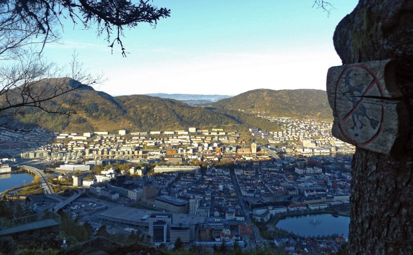 DSCF9297 (Kopiowanie).jpg