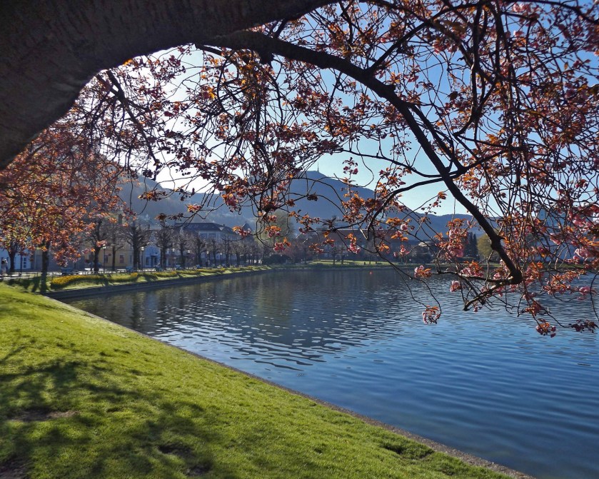 DSCF9316 (Kopiowanie)