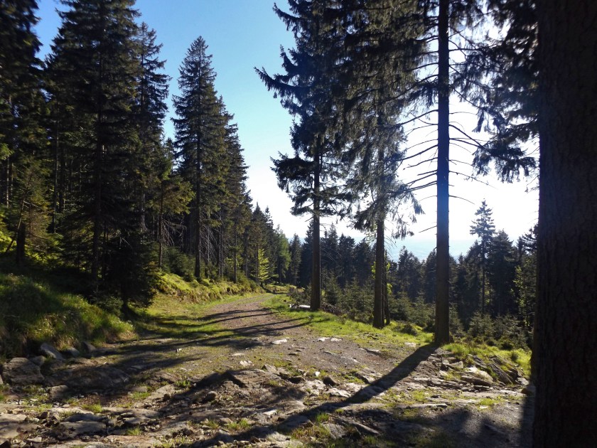 rozejście na smrekowiec i czarną górę