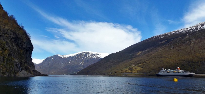 DSCF8959 (Kopiowanie)