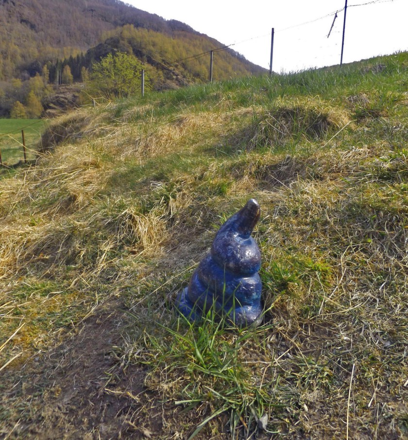 DSCF8986 (Kopiowanie).jpg