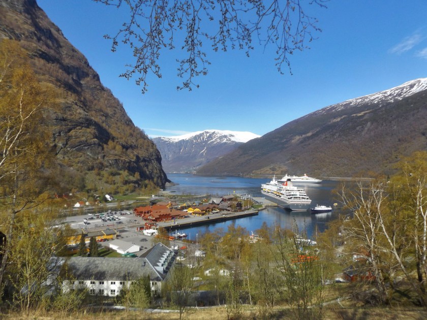 DSCF8994 (Kopiowanie)