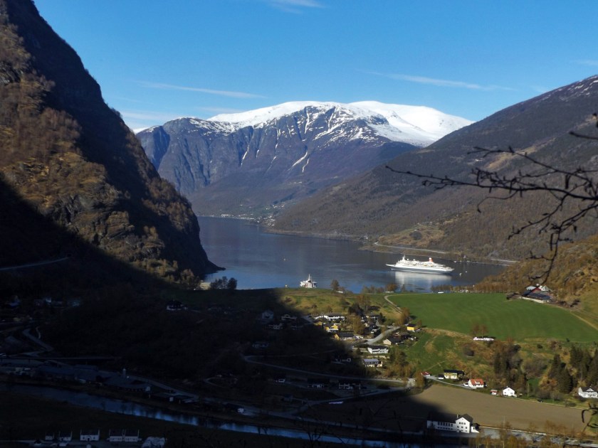 DSCF9013 (Kopiowanie)