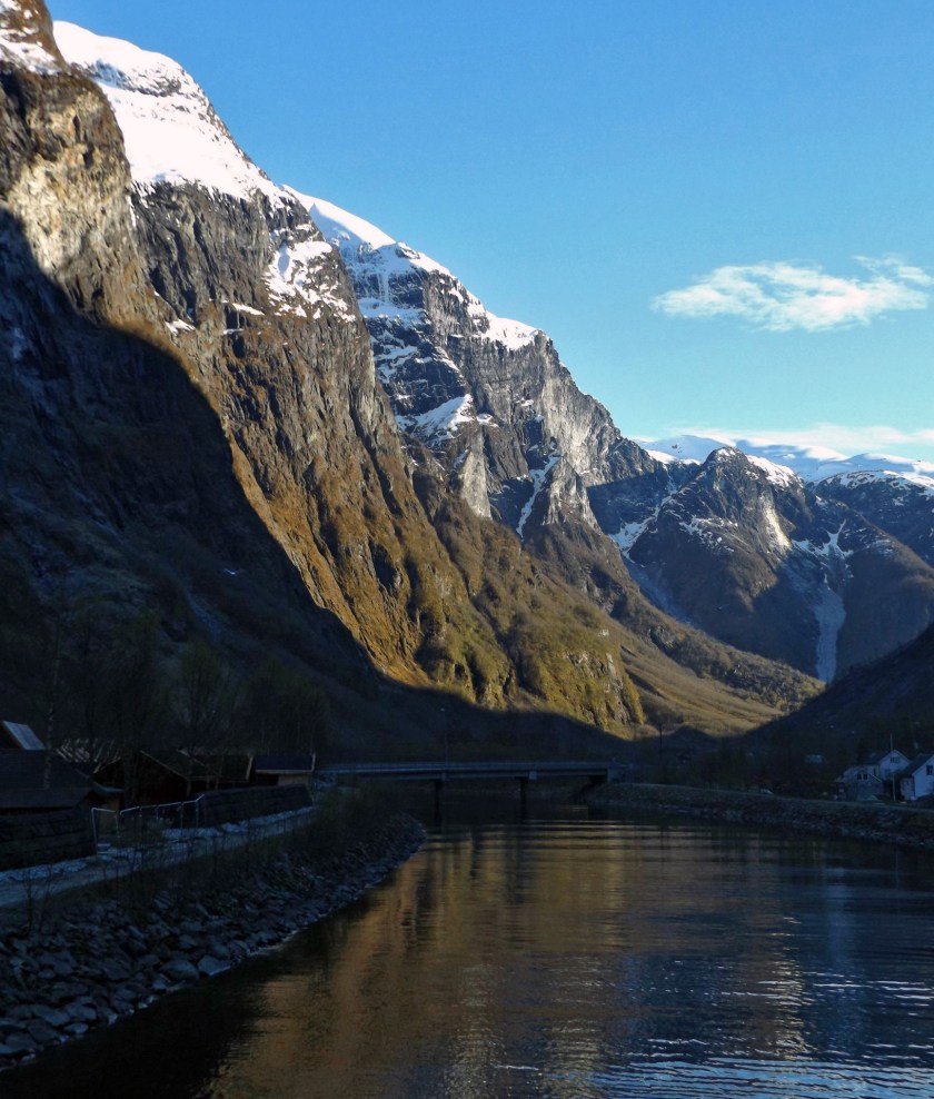 DSCF9043 (Kopiowanie)