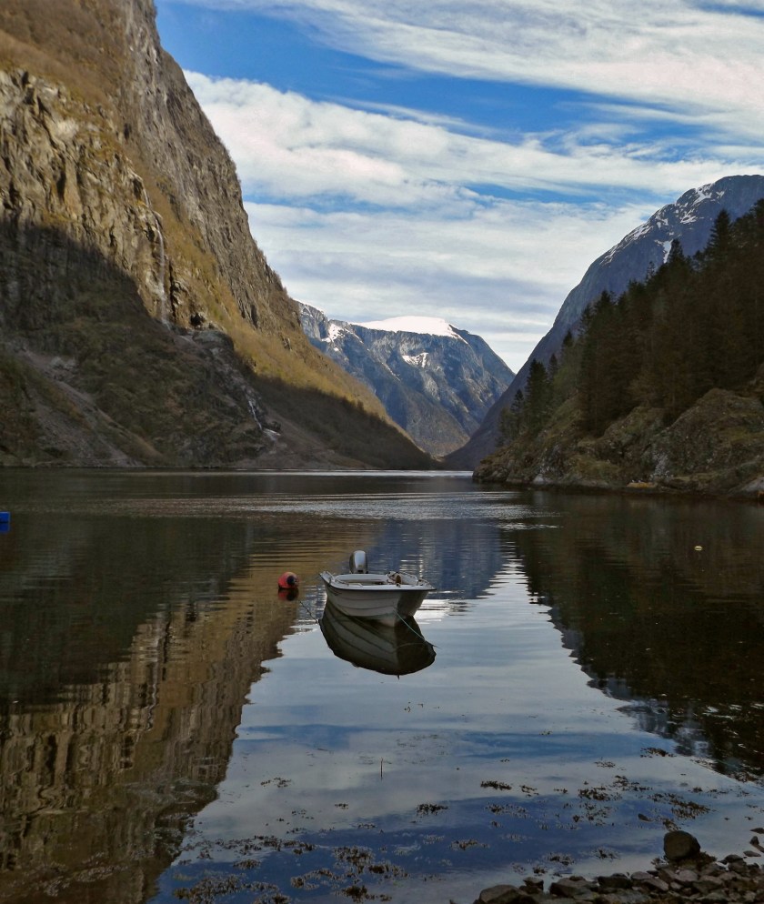 DSCF9084 (Kopiowanie).jpg