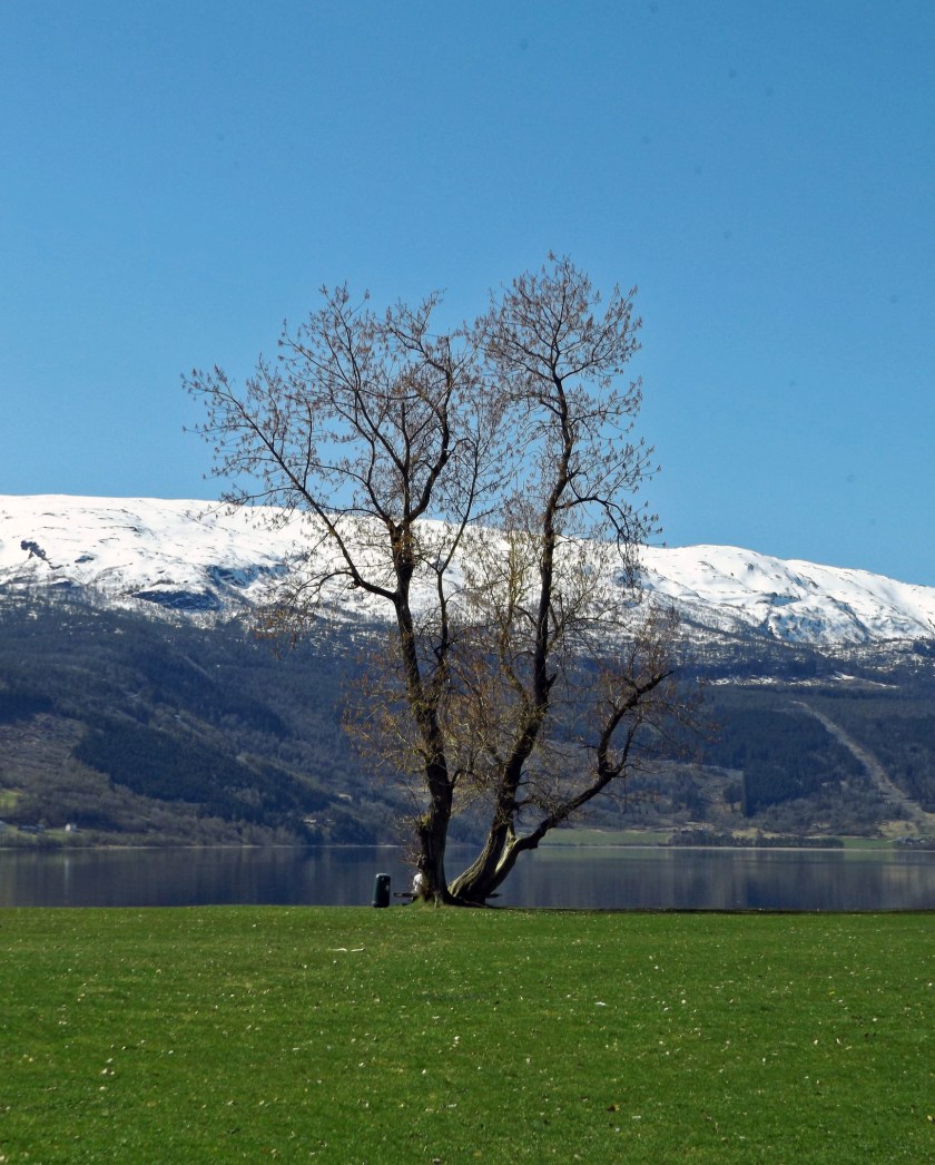 DSCF9119 (Kopiowanie).jpg