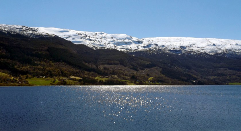 DSCF9181 (Kopiowanie).jpg