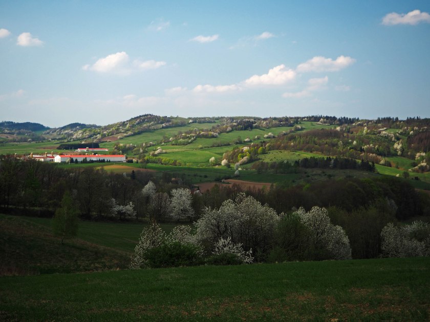 Gostków i Nowe Bogaczowice.