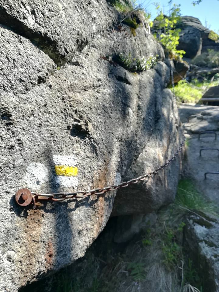 31939573_423397884739068_1695706818501672960_n