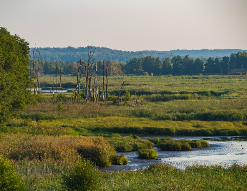 Międzyodrze w pełnej krasie.