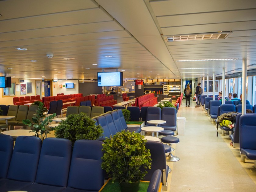 P1010101 (Kopiowanie).jpg