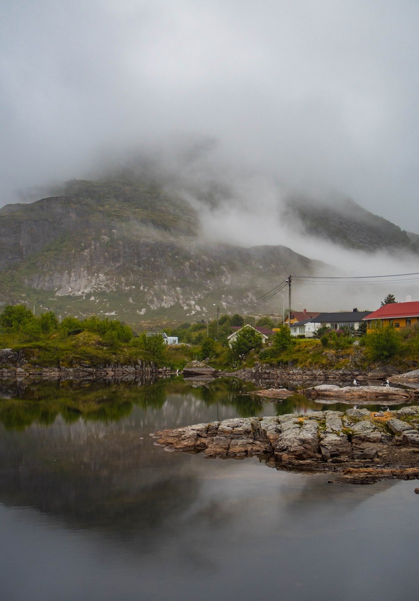 P1010117 (Kopiowanie).jpg