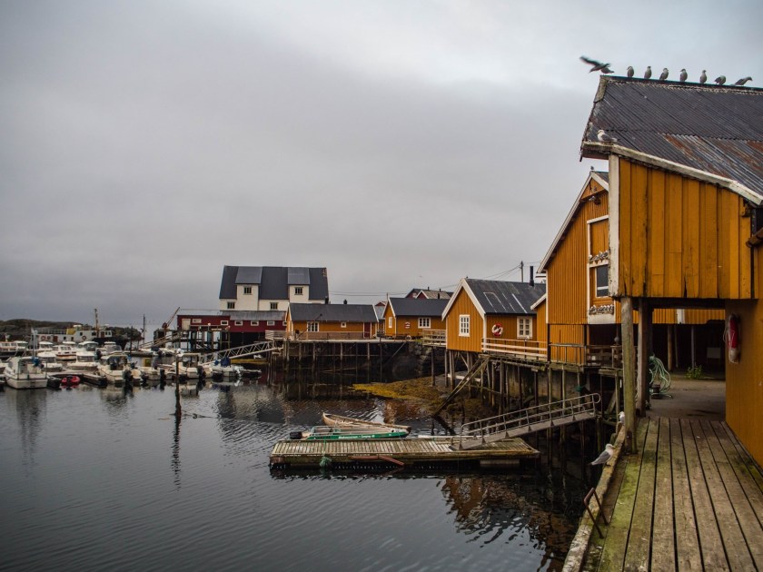 P1010133 (Kopiowanie).jpg