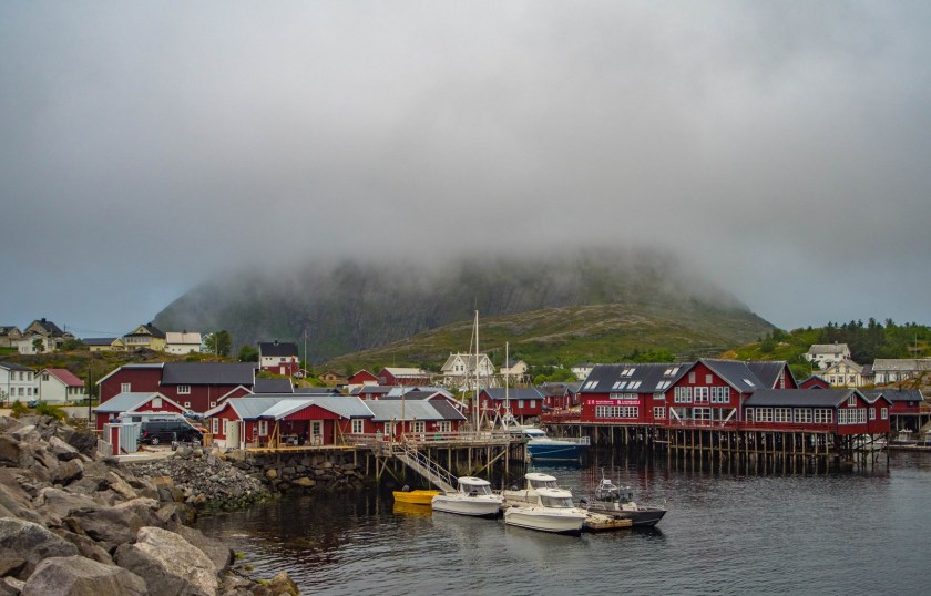 P1010147 (Kopiowanie).jpg