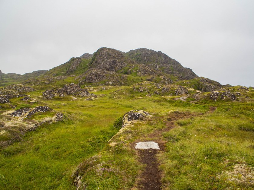 P1010370 (Kopiowanie).jpg