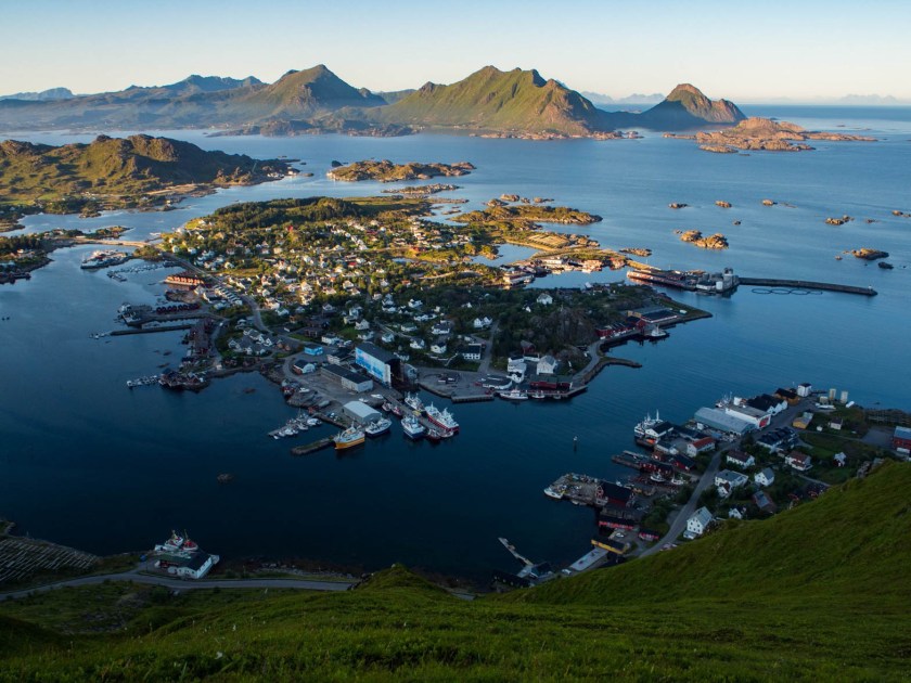 P1010525 (Kopiowanie).jpg