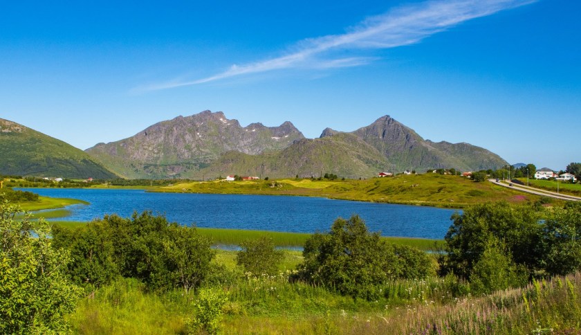 P1010563 (Kopiowanie).jpg