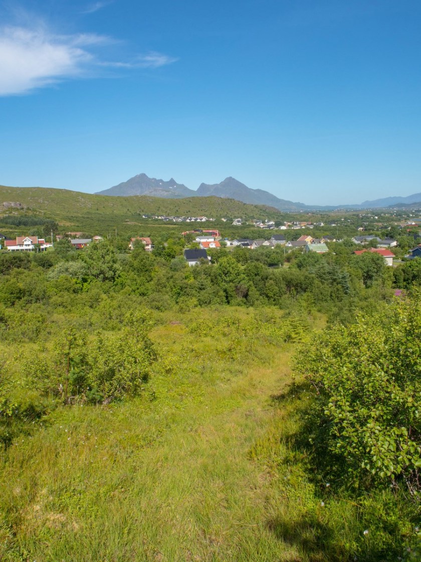 P1010857 (Kopiowanie).jpg