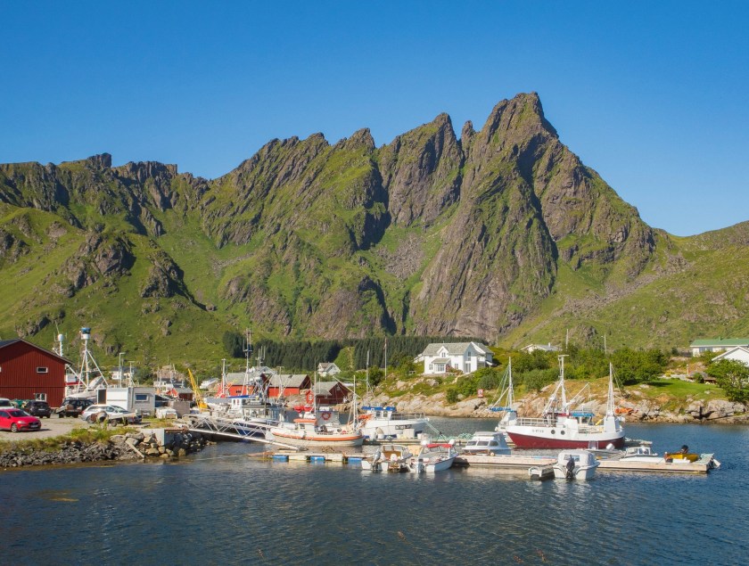 P1010984-2 (Kopiowanie).jpg