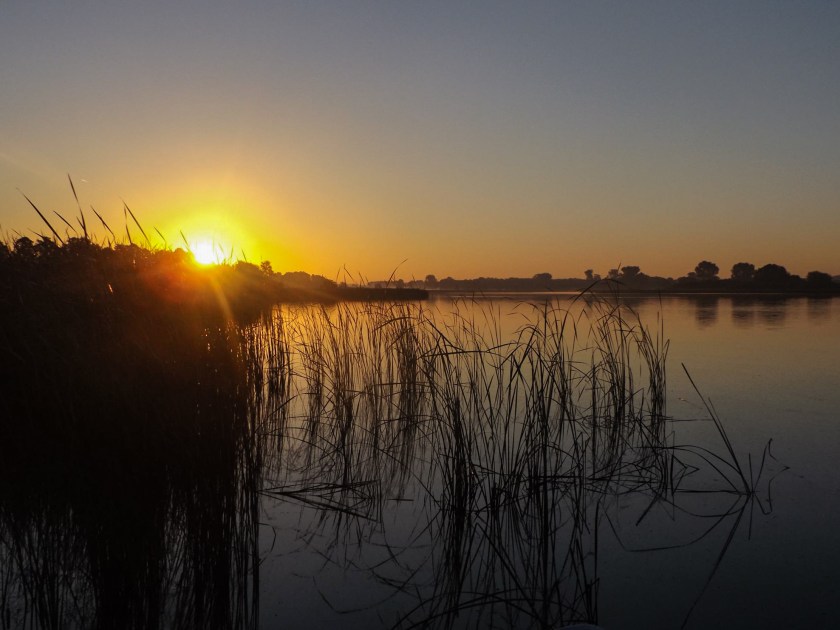 20451830_327018574377000_323223987482922438_o