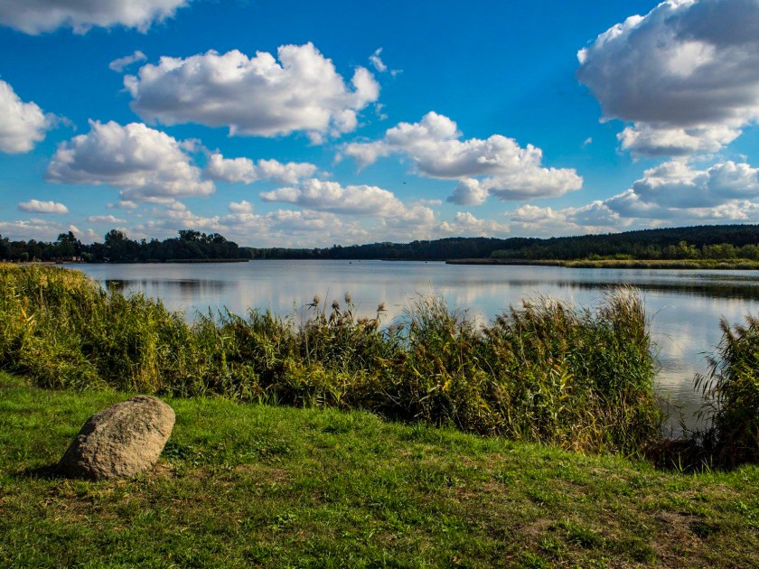 42784081_529373827474806_4062119951899557888_o