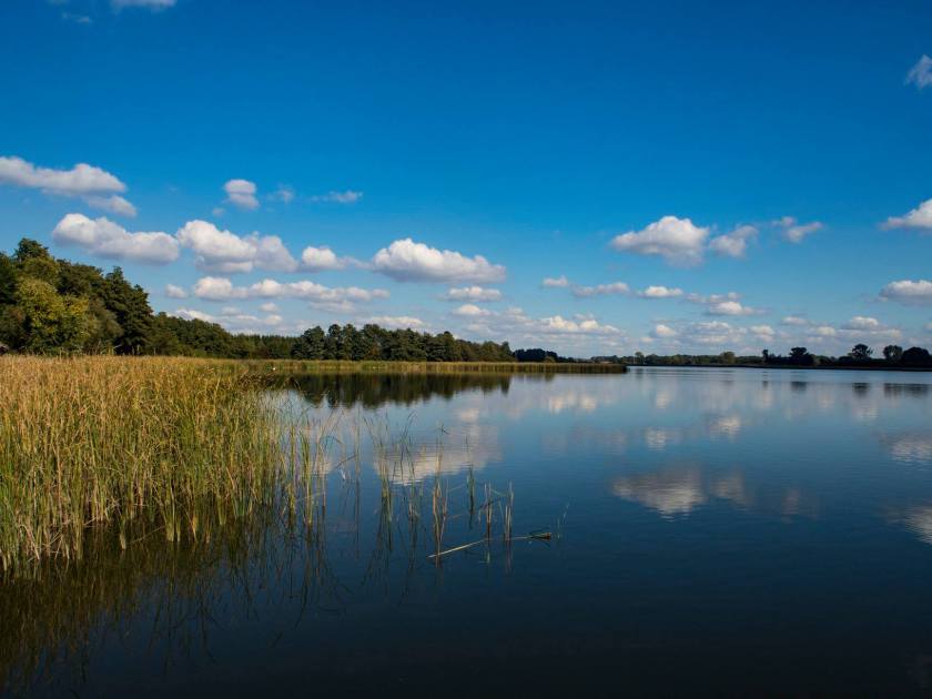 42792796_529373887474800_5183182256688070656_o