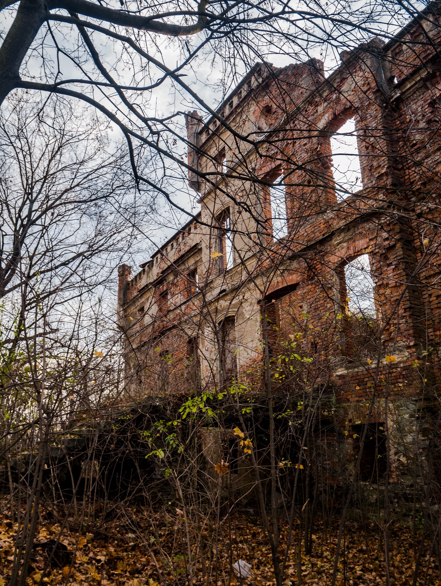 OLYMPUS DIGITAL CAMERA