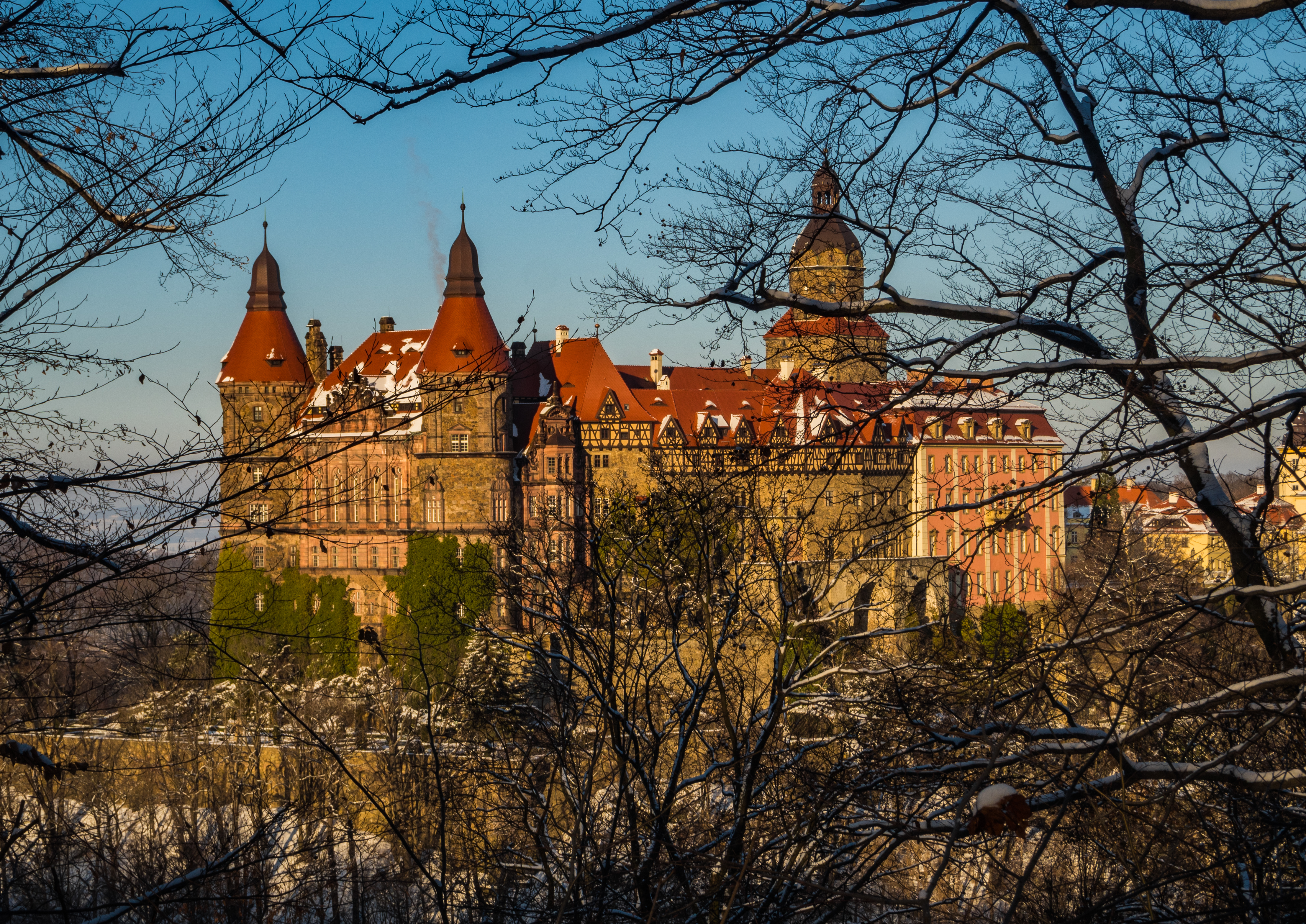 OLYMPUS DIGITAL CAMERA