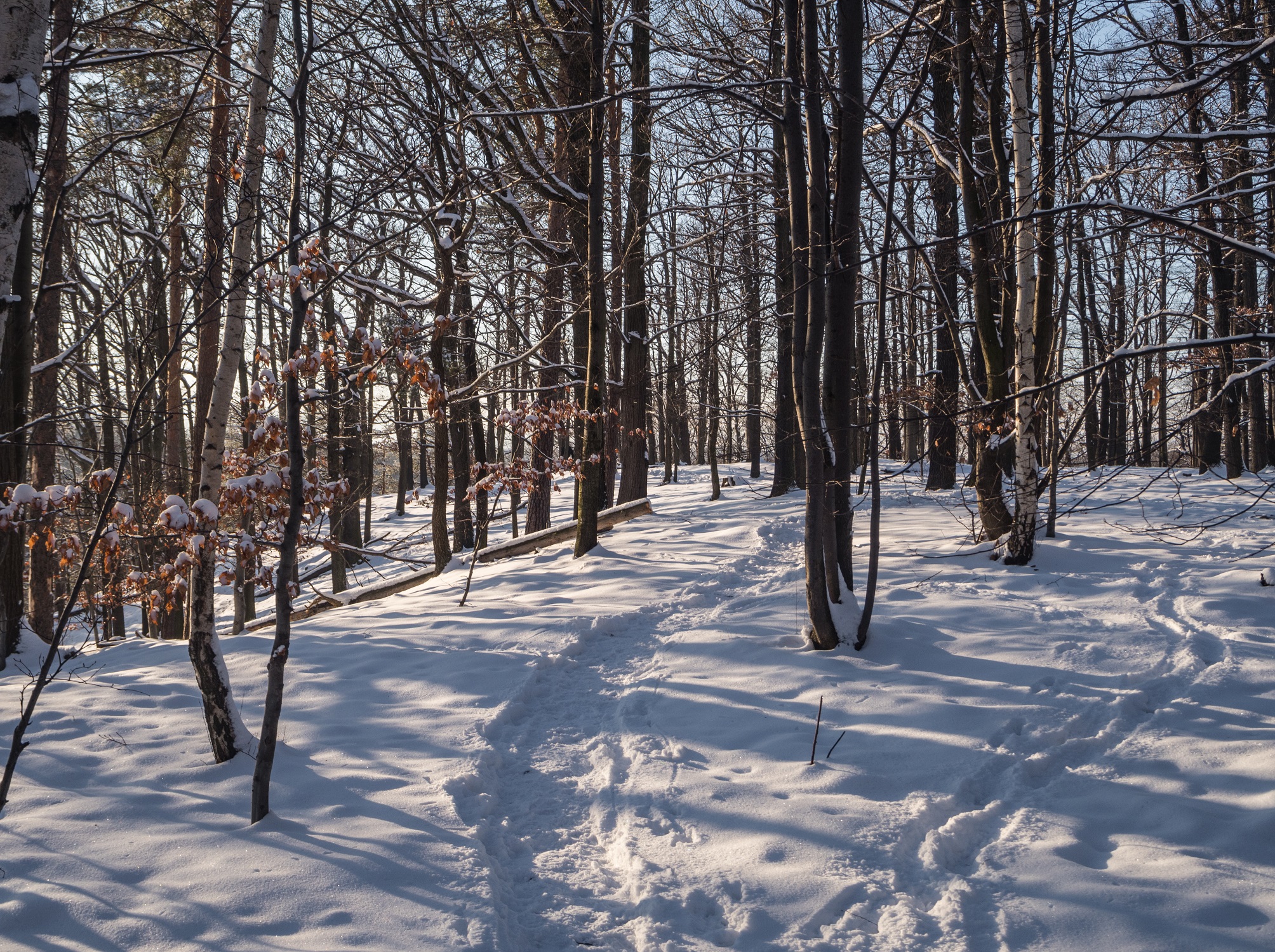 Droga mniej więcej na Skibę