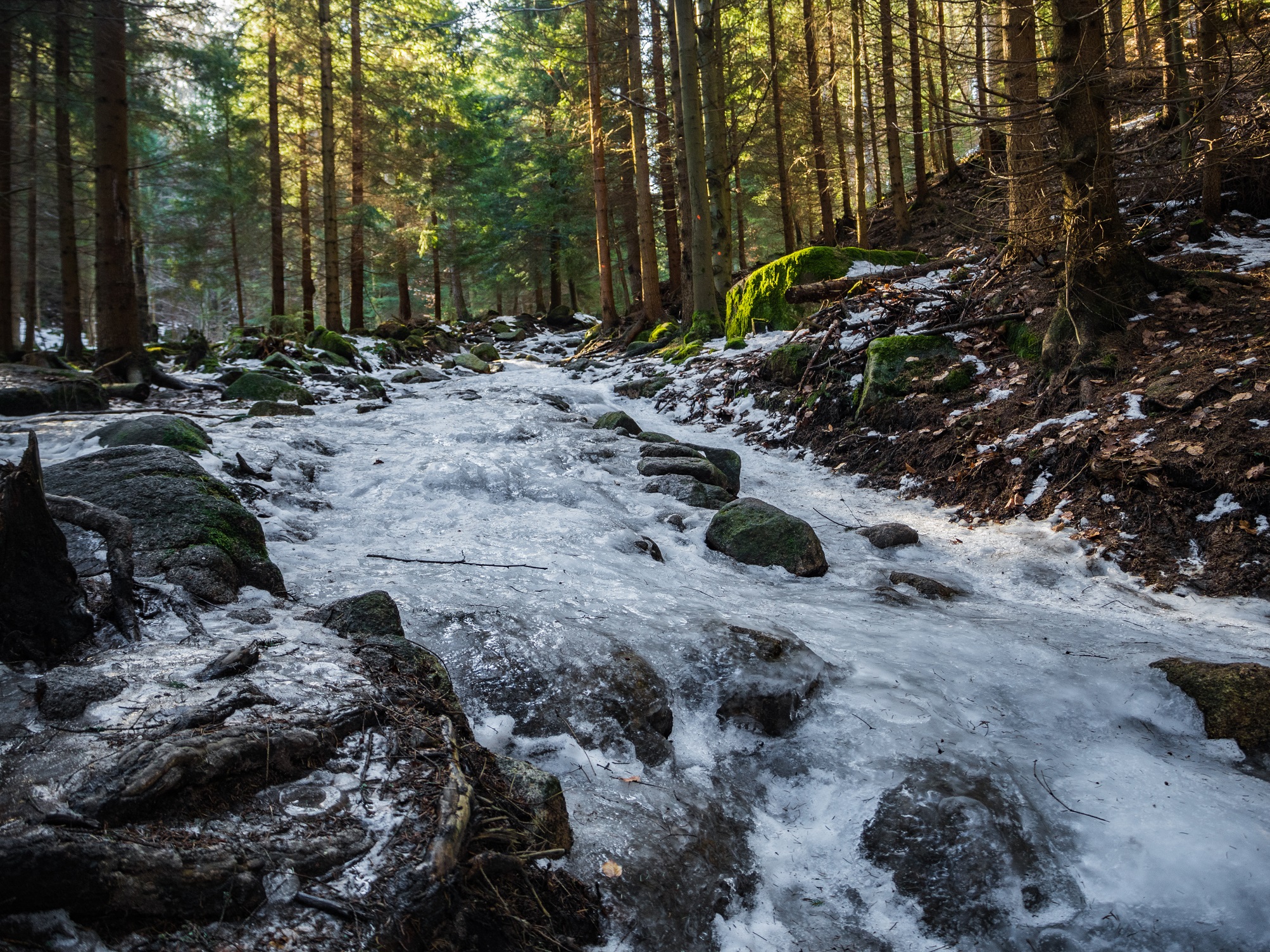 OLYMPUS DIGITAL CAMERA