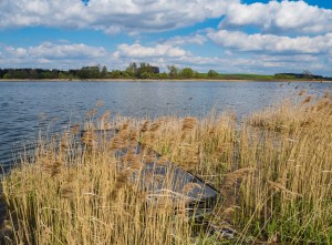 Kręcąc się po okolicach jednak da się znaleźć fajne miejscówki.