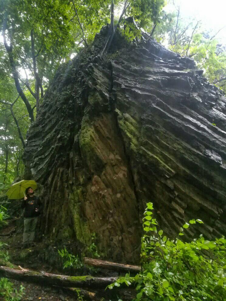 240985468_1328145130931001_1229183971843735197_n