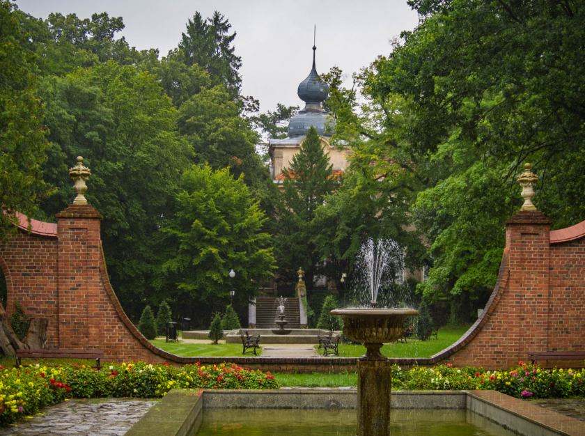 273024390_1431424037269776_46803170077415664_n