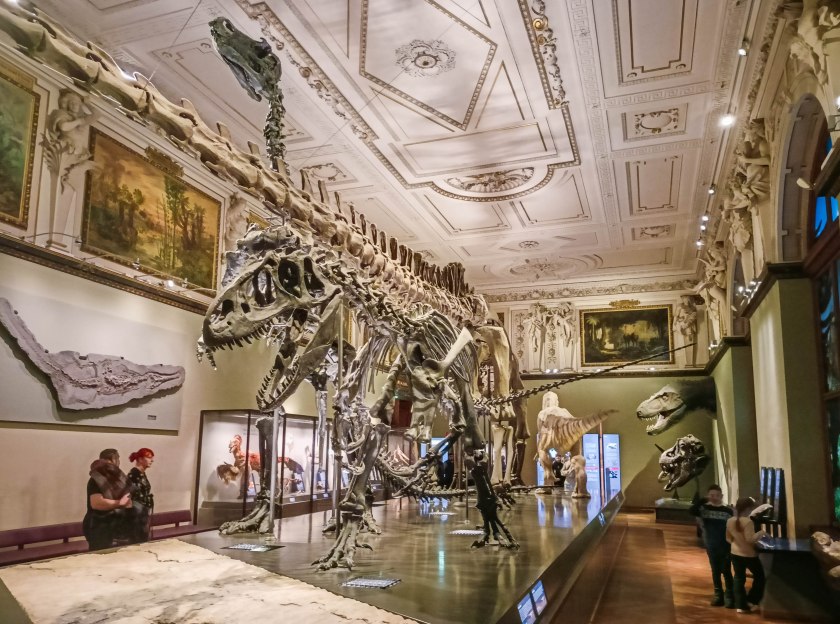 Muzeum Historii Naturalnej mówi: cześć!