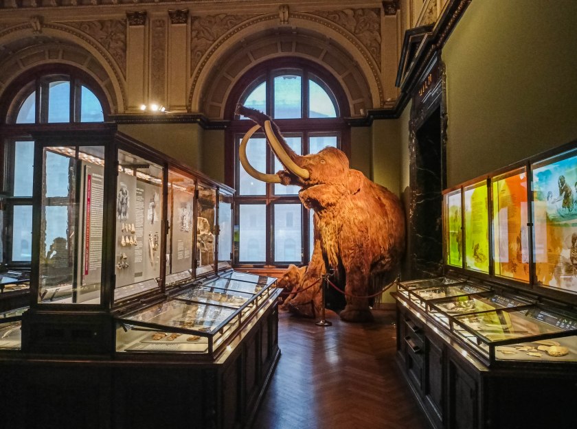 A i dla Mańka jest miejsce ;)