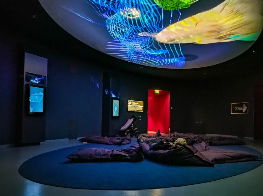 Zaskakująco intrygujące to miejsce.