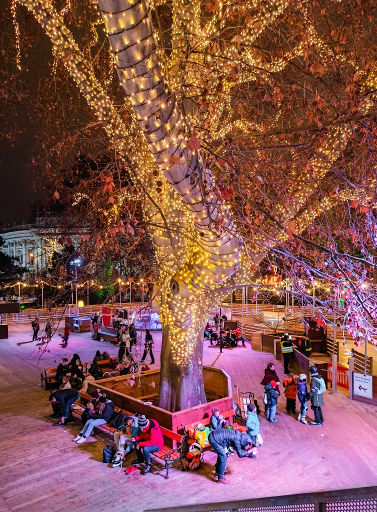 Zimą ratuszowy park należy do łyżwiarzy.
