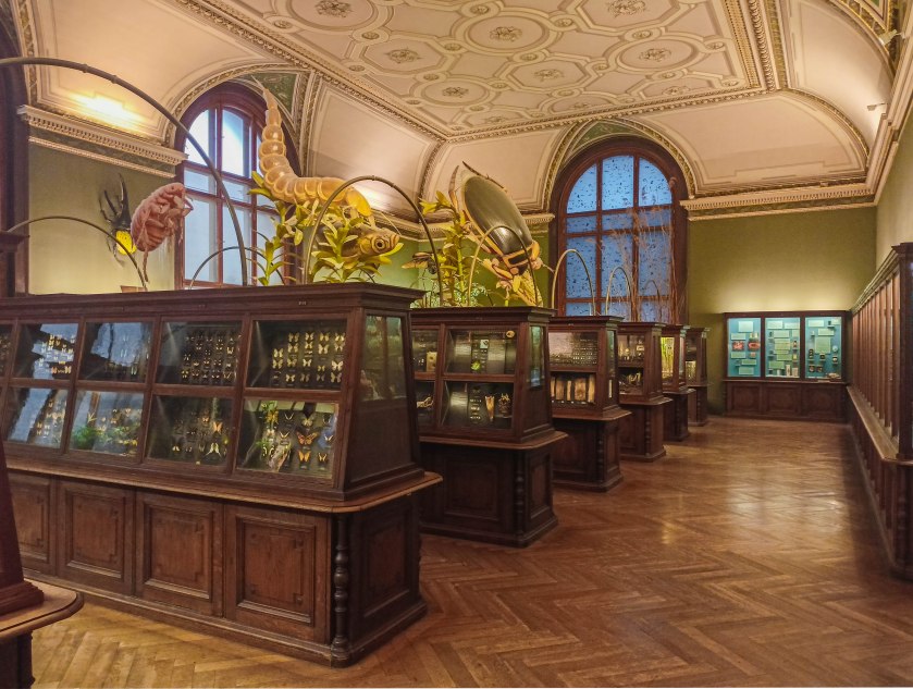 Spokój zachować należy np. podczas spotkań z takimi "gośćmi" ;)